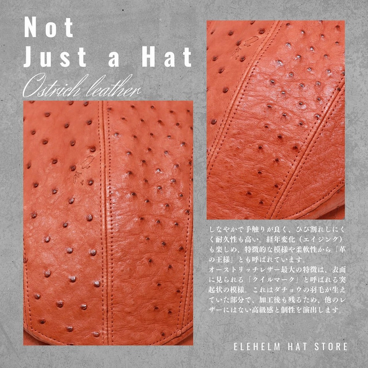 オーストリッチレザー ハンチング | Hunting Cap