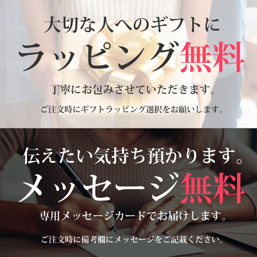 ステットソン パナマハット ナチュラル | STETSON Panama Hat