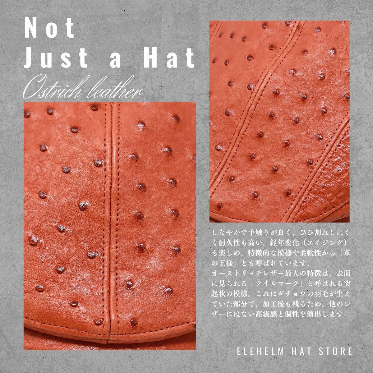 オーストリッチレザー ハンチング | Hunting Cap